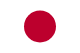 智利国家队国旗